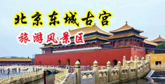 裸体色图小骚b中国北京-东城古宫旅游风景区